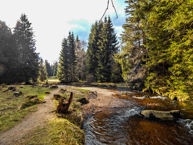 Wandern im Harz - Die kalte Bode bei Schierke