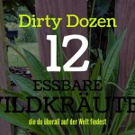 Essbare Wildkräuter - Dirty Dozen
