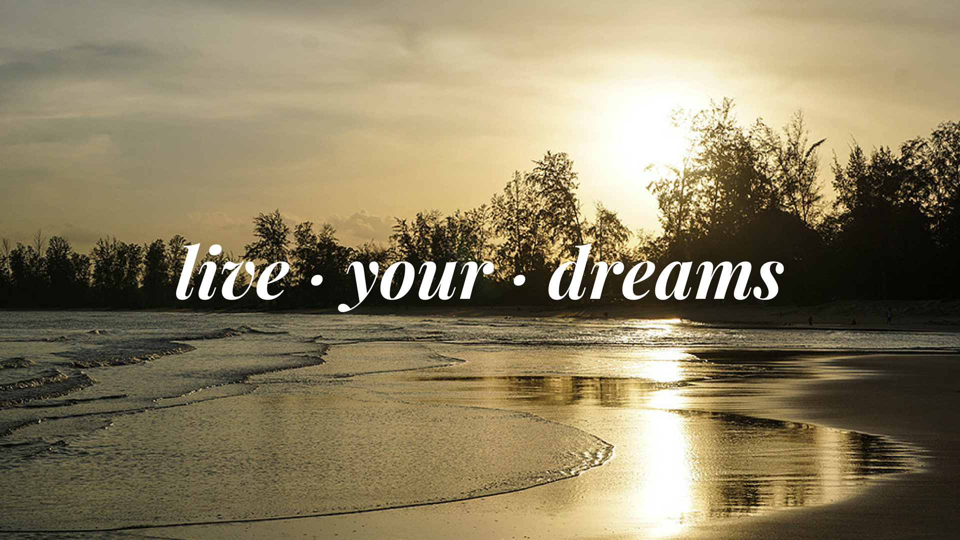 Introbild - Live Your Dreams